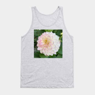 Soft Pink, Yellow And White Dahlia Bloom Tank Top